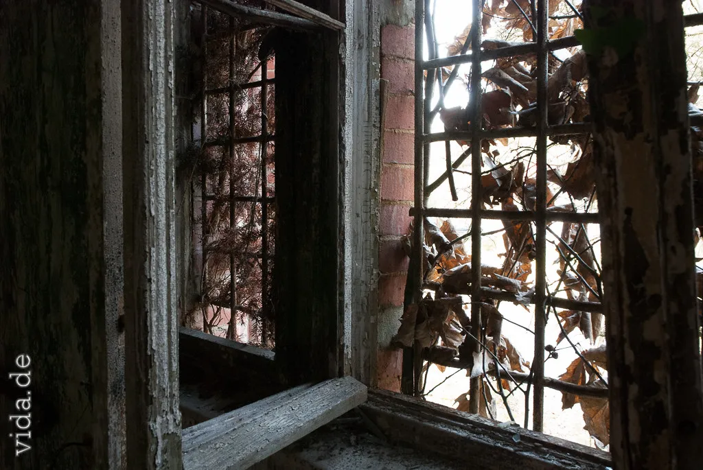 Zerbrochenes Fenster mit verwitterten Holzsprossen, dahinter Licht
