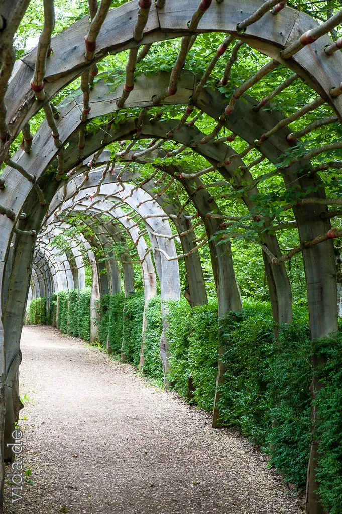 Laubengang aus grünen Bögen über einem Kiesweg